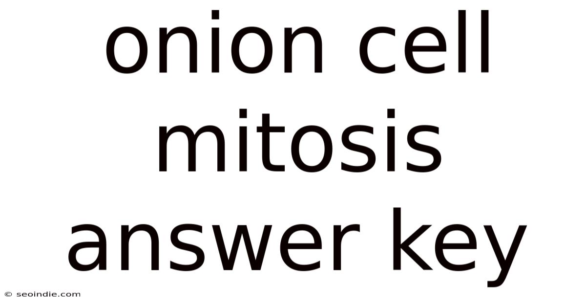 Onion Cell Mitosis Answer Key