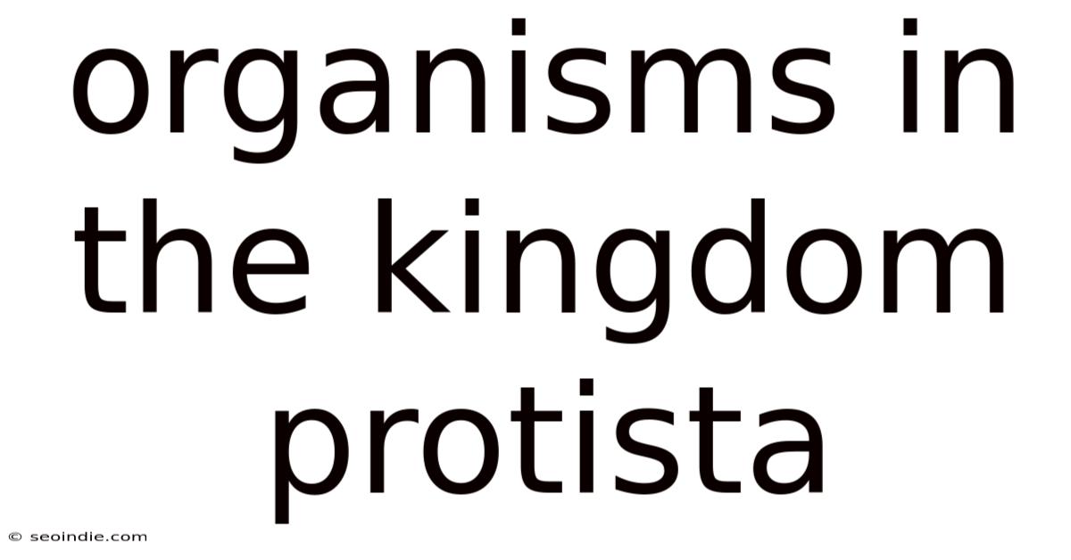 Organisms In The Kingdom Protista