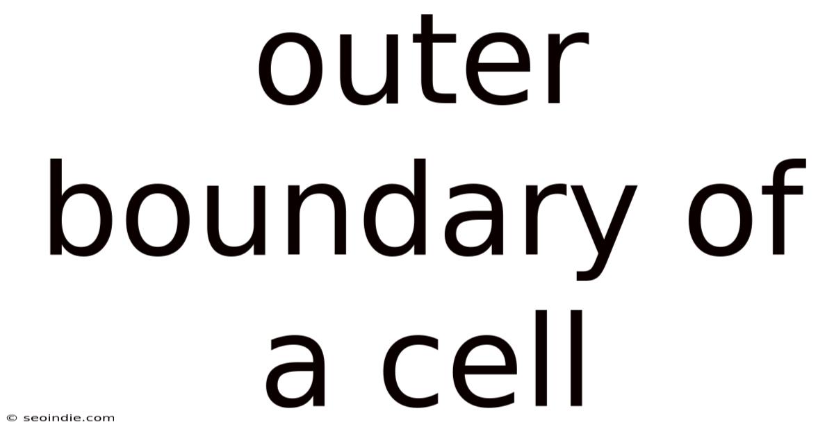 Outer Boundary Of A Cell