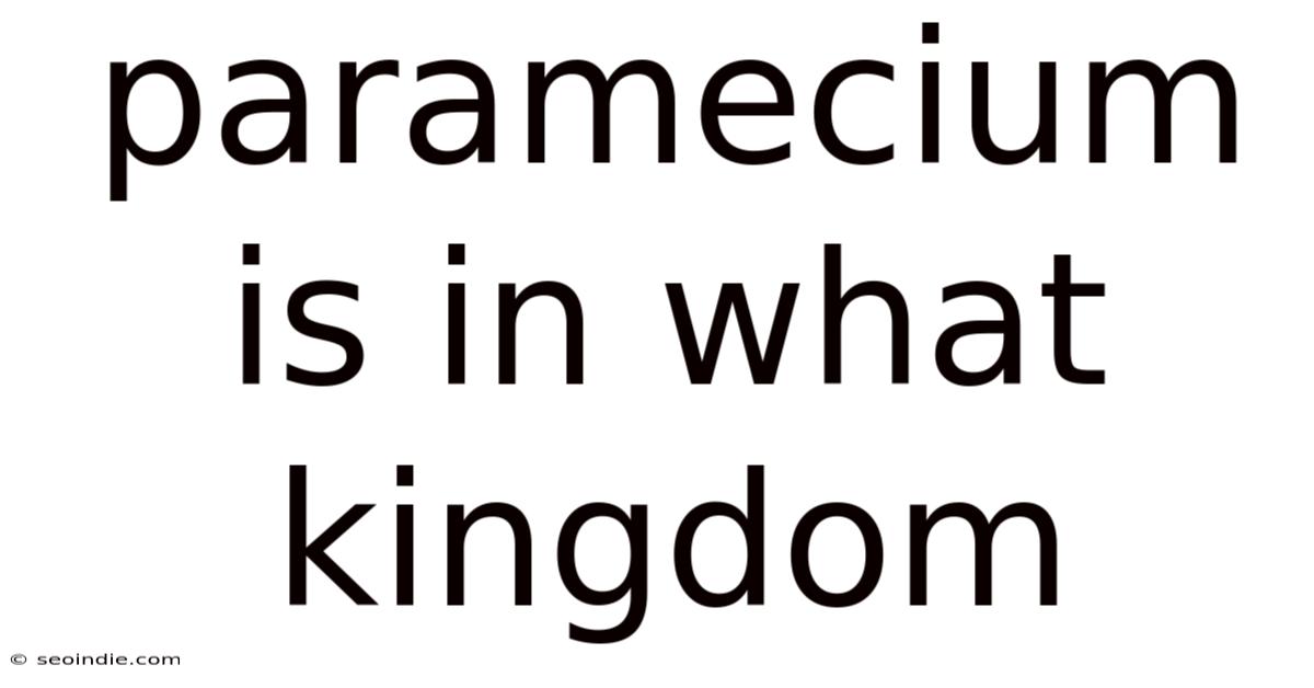 Paramecium Is In What Kingdom