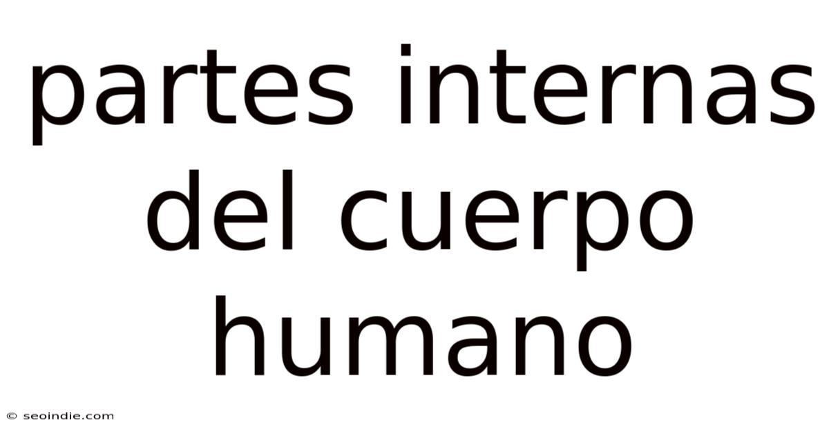 Partes Internas Del Cuerpo Humano