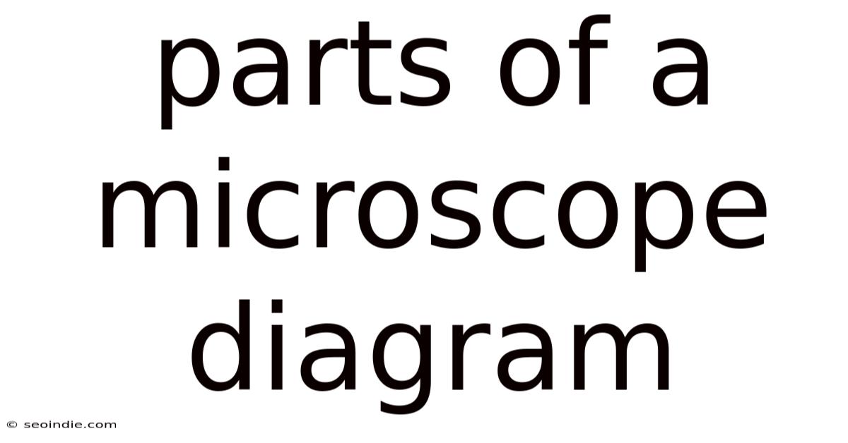 Parts Of A Microscope Diagram