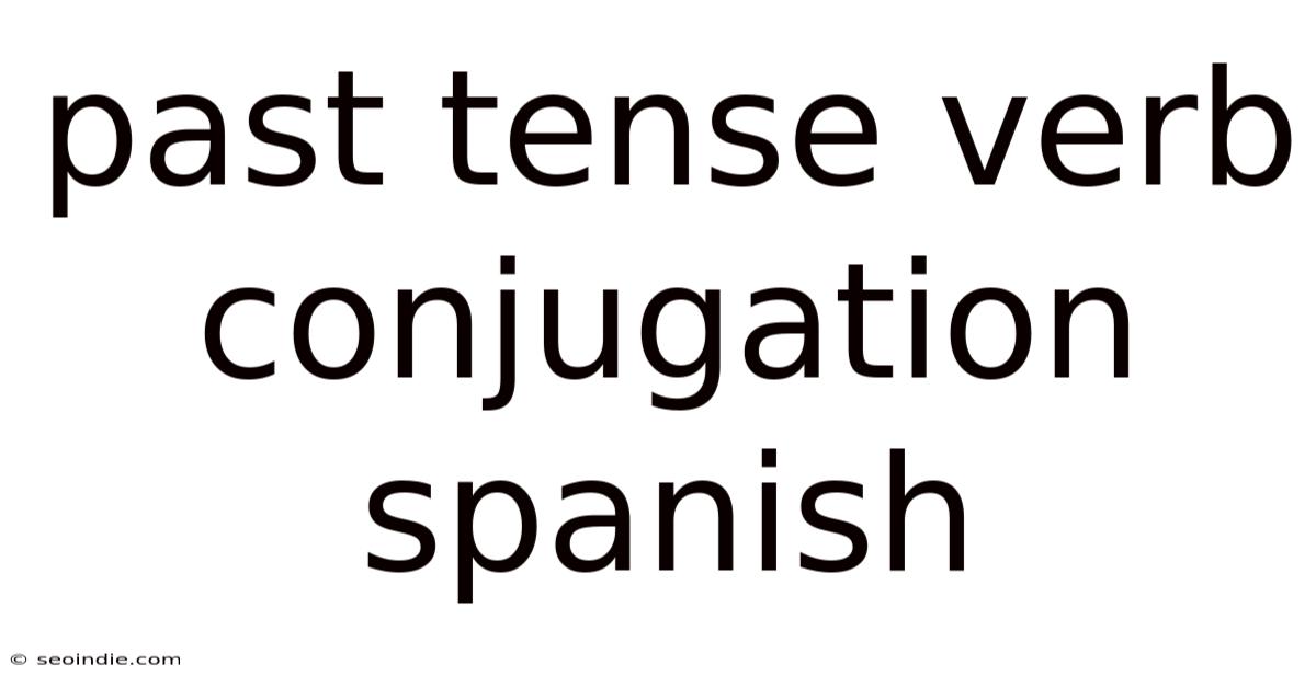 Past Tense Verb Conjugation Spanish