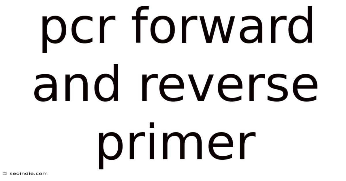 Pcr Forward And Reverse Primer