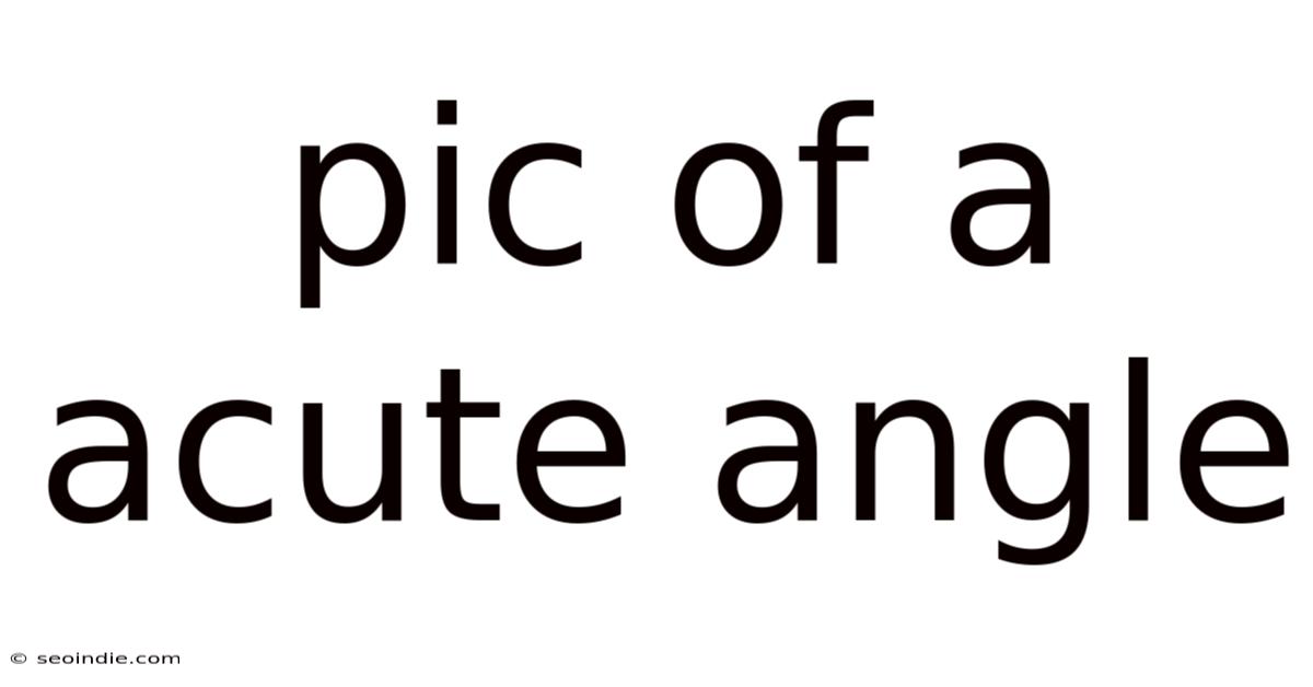 Pic Of A Acute Angle