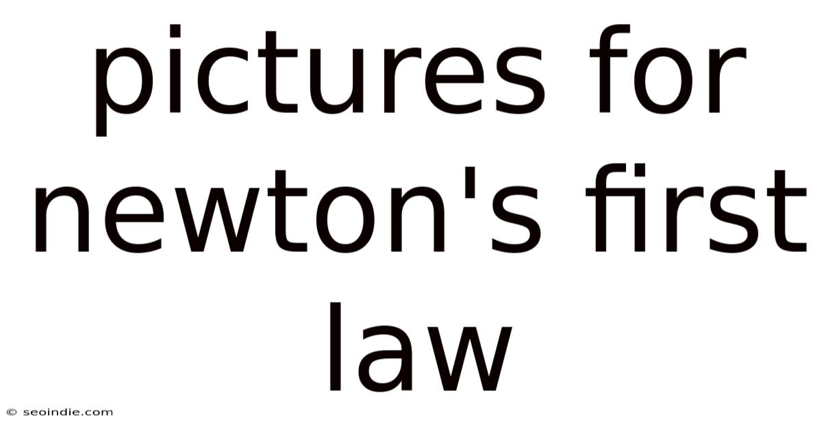 Pictures For Newton's First Law