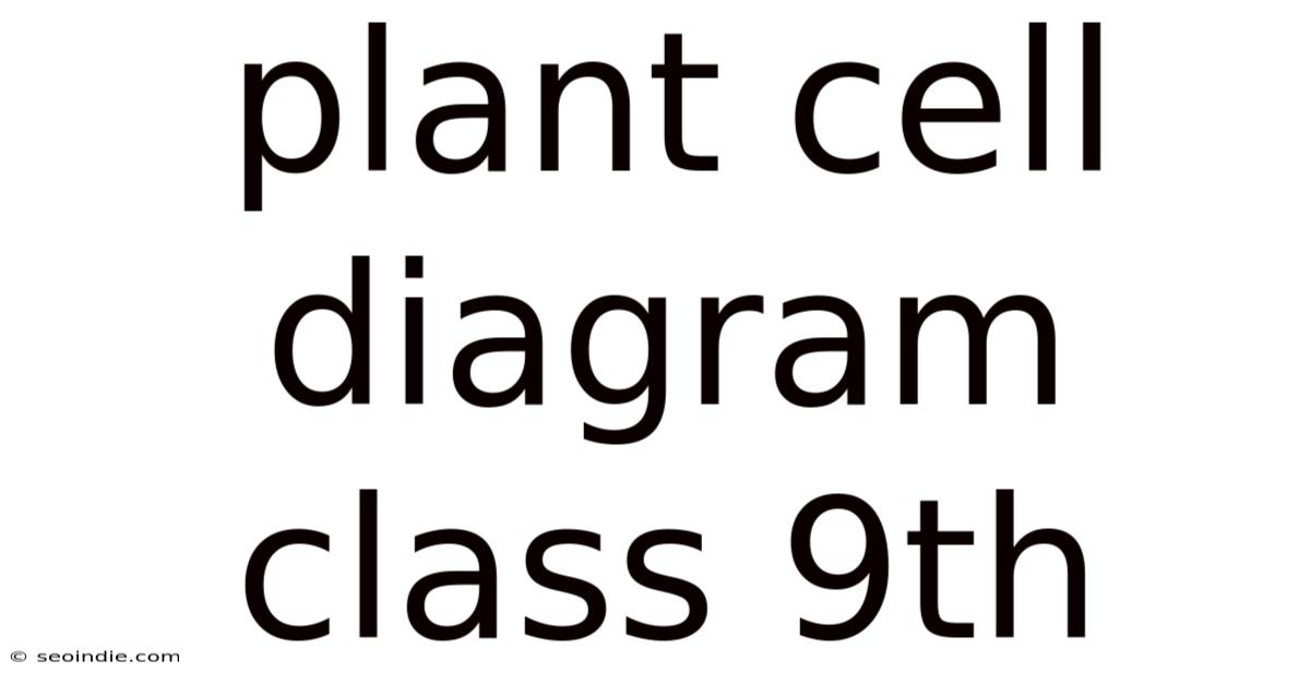Plant Cell Diagram Class 9th
