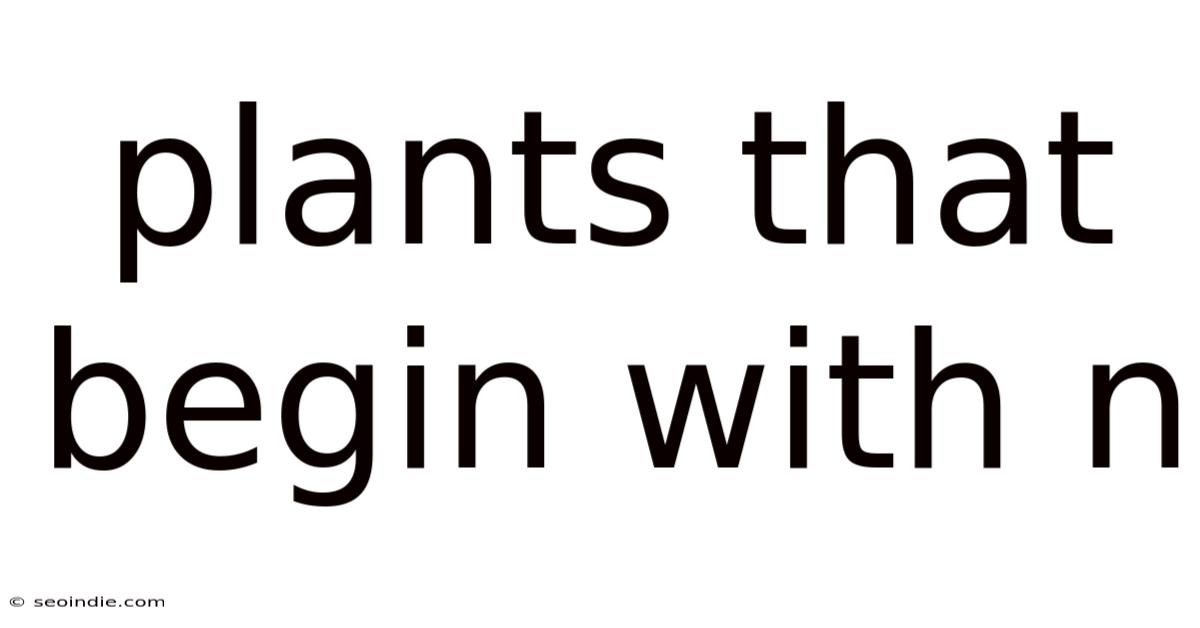 Plants That Begin With N