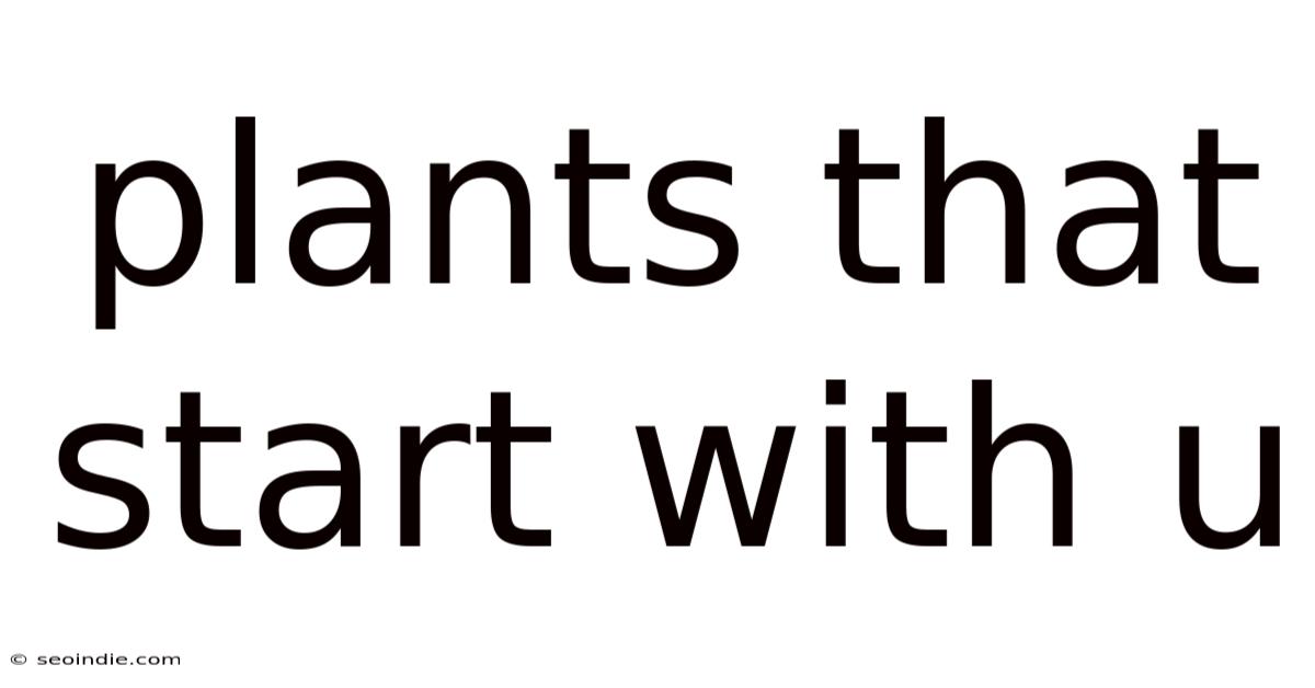 Plants That Start With U