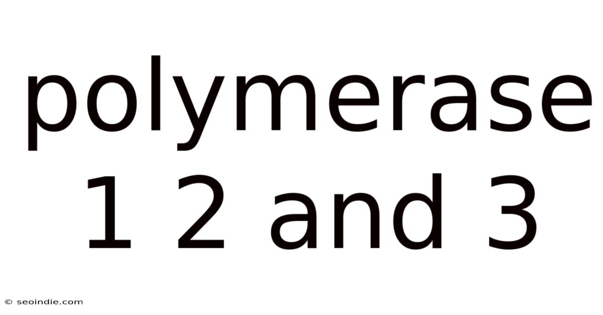 Polymerase 1 2 And 3