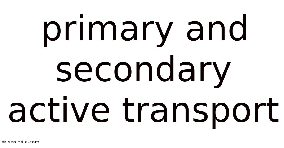 Primary And Secondary Active Transport