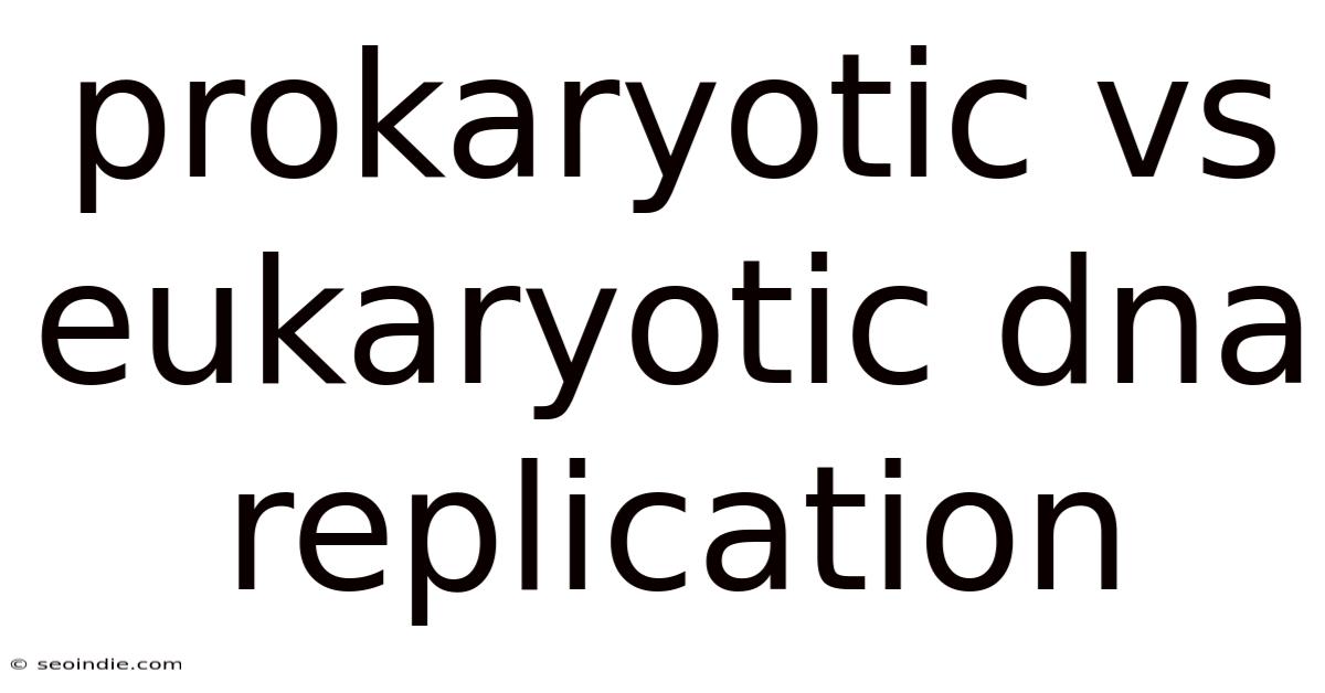 Prokaryotic Vs Eukaryotic Dna Replication