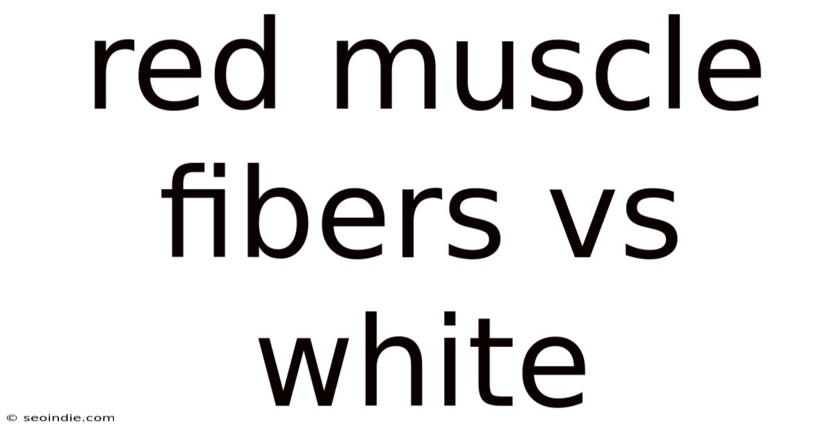 Red Muscle Fibers Vs White