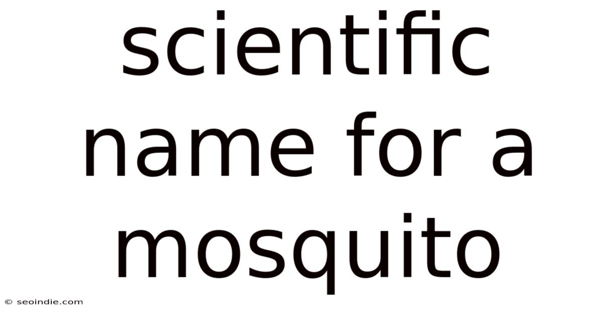Scientific Name For A Mosquito