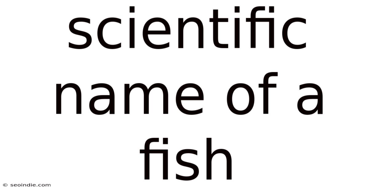 Scientific Name Of A Fish