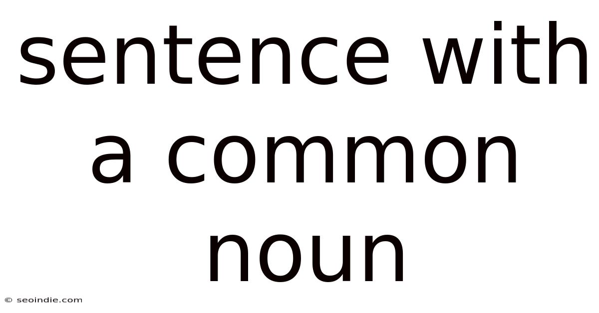 Sentence With A Common Noun