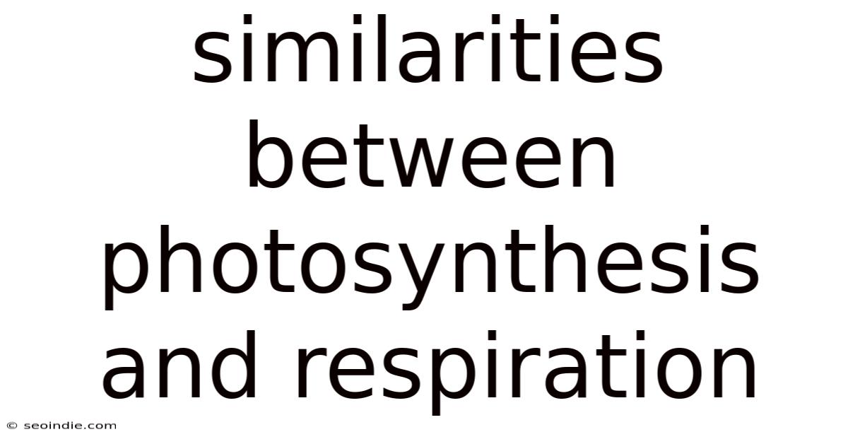 Similarities Between Photosynthesis And Respiration