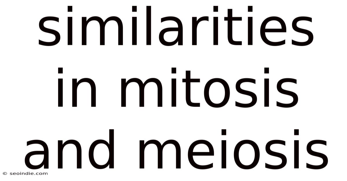 Similarities In Mitosis And Meiosis