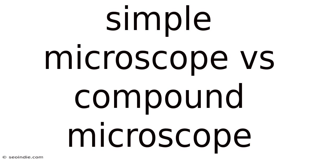 Simple Microscope Vs Compound Microscope