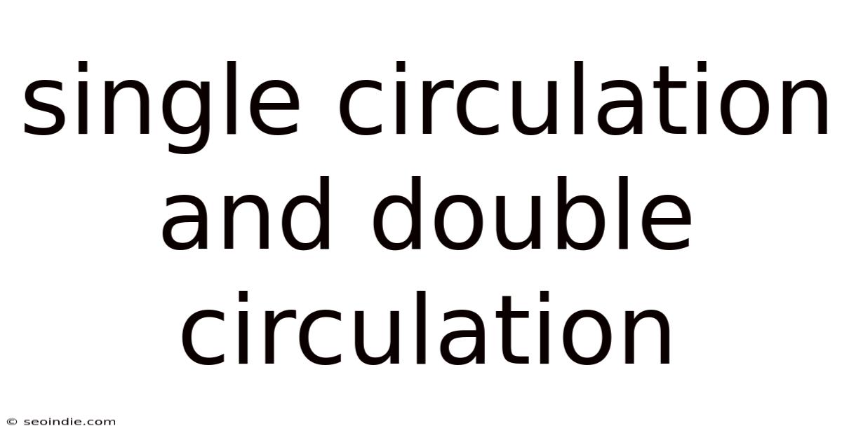 Single Circulation And Double Circulation