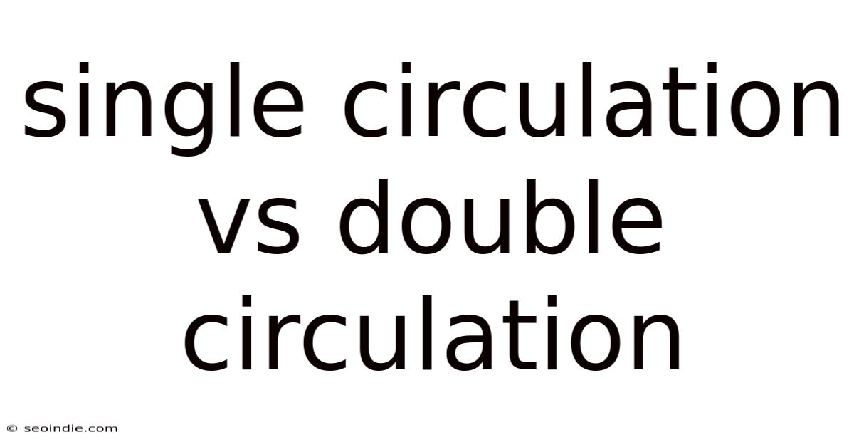 Single Circulation Vs Double Circulation