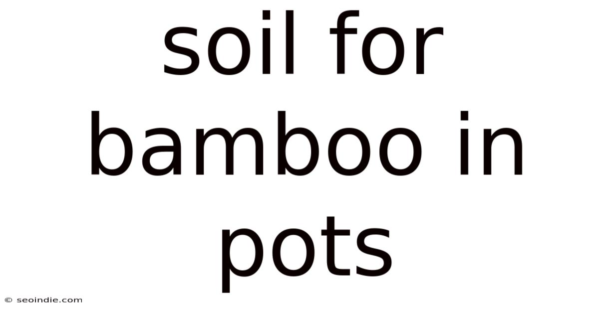 Soil For Bamboo In Pots