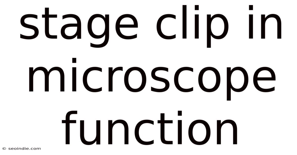 Stage Clip In Microscope Function