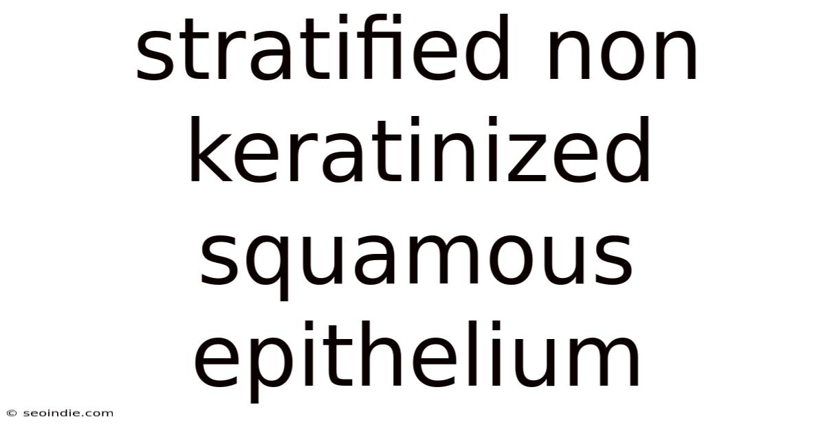 Stratified Non Keratinized Squamous Epithelium