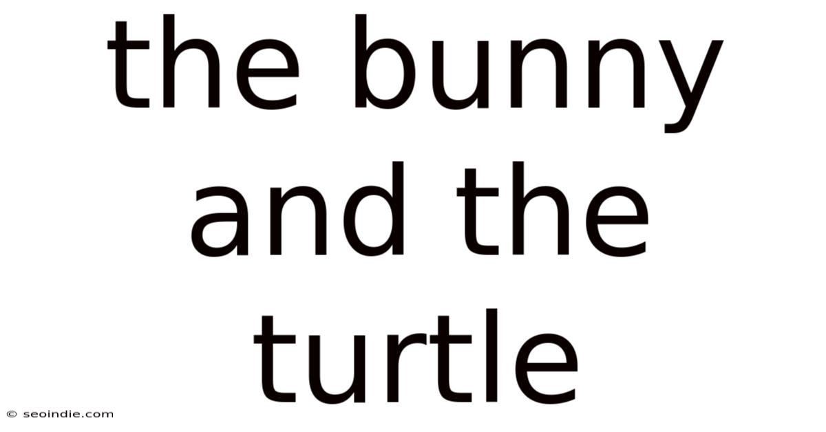 The Bunny And The Turtle
