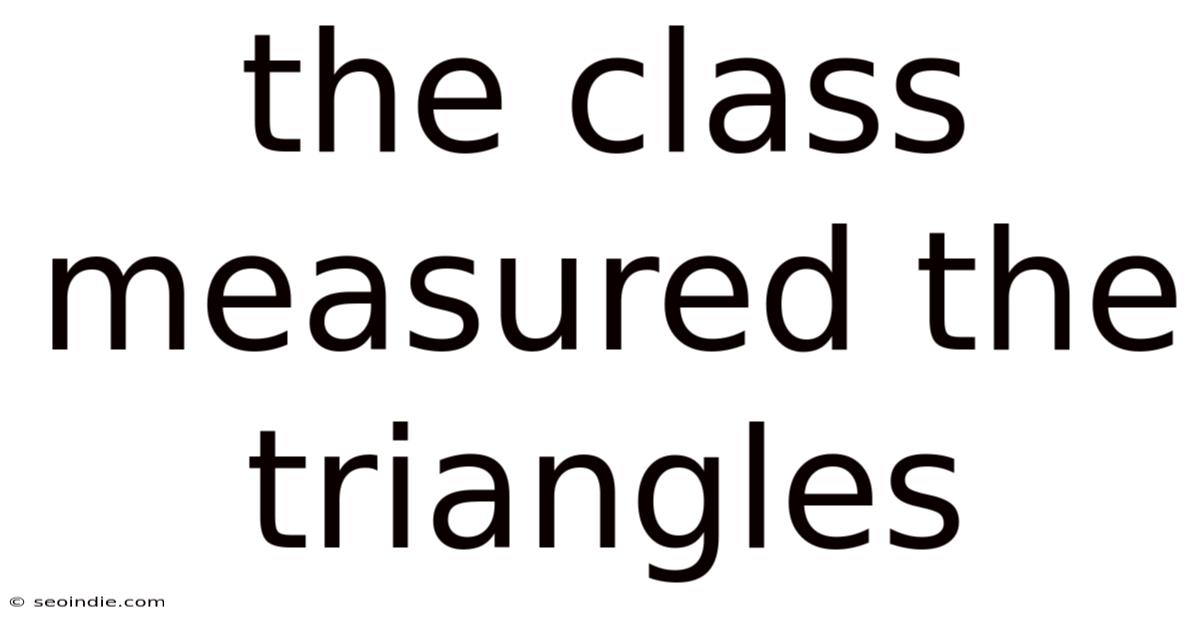 The Class Measured The Triangles