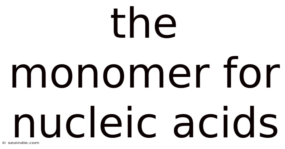 The Monomer For Nucleic Acids