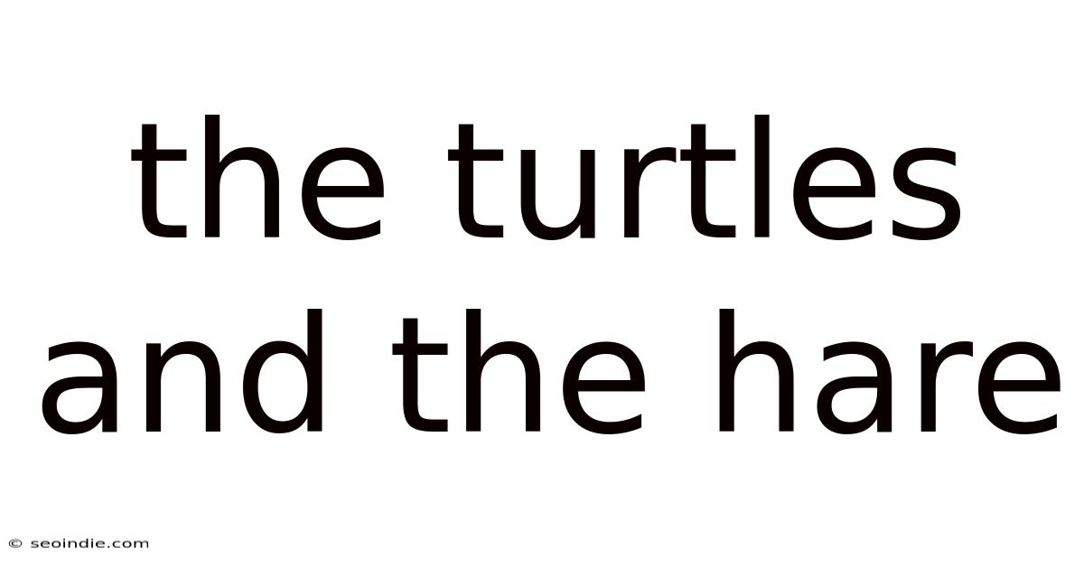 The Turtles And The Hare