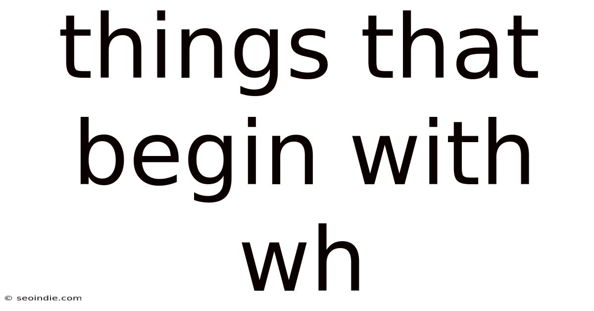 Things That Begin With Wh