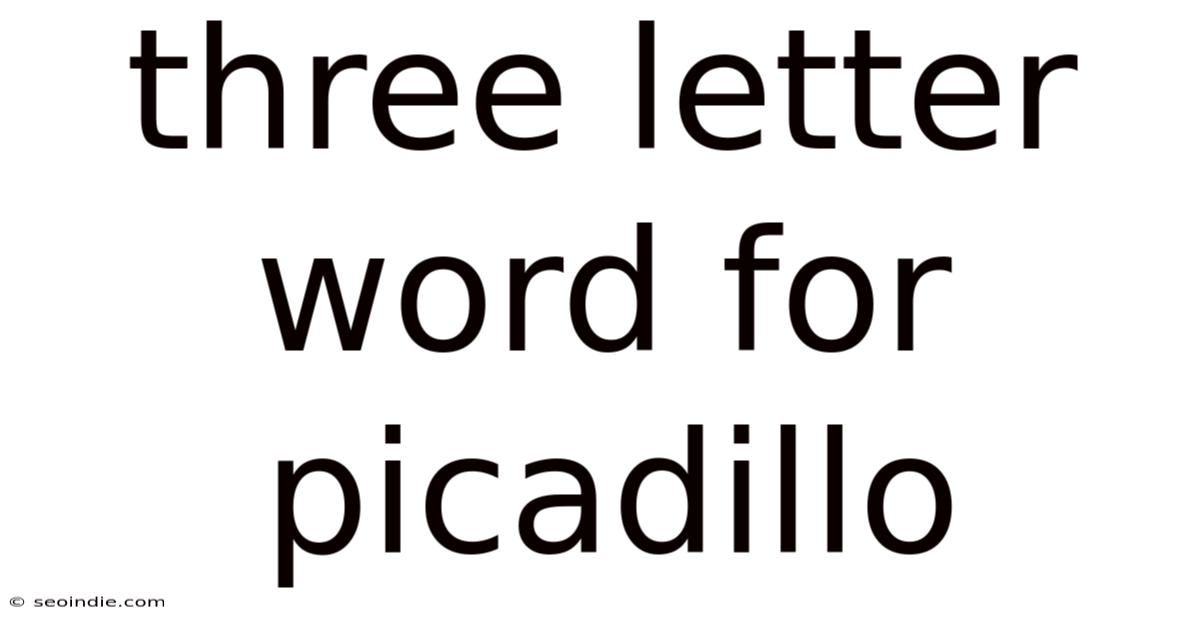 Three Letter Word For Picadillo