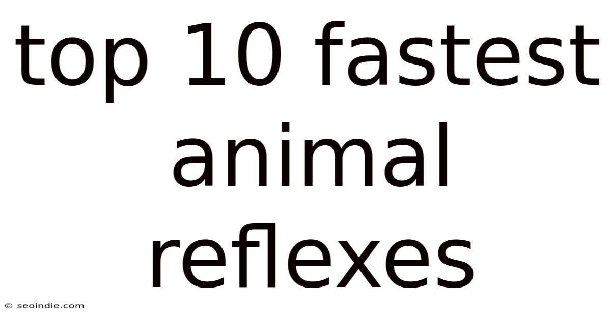Top 10 Fastest Animal Reflexes