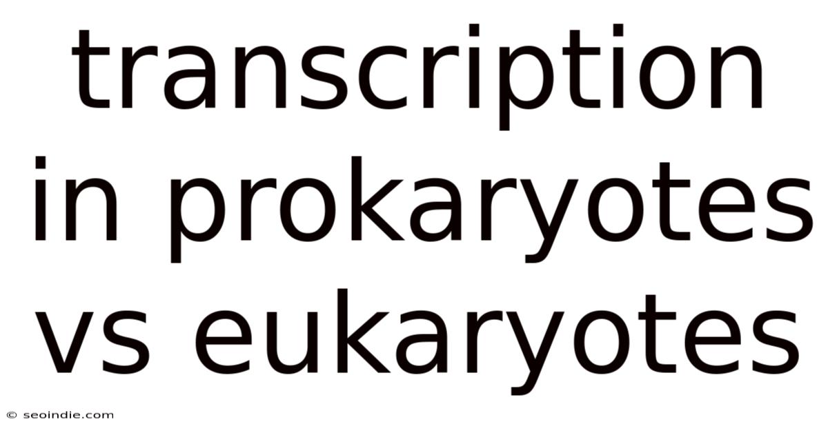 Transcription In Prokaryotes Vs Eukaryotes