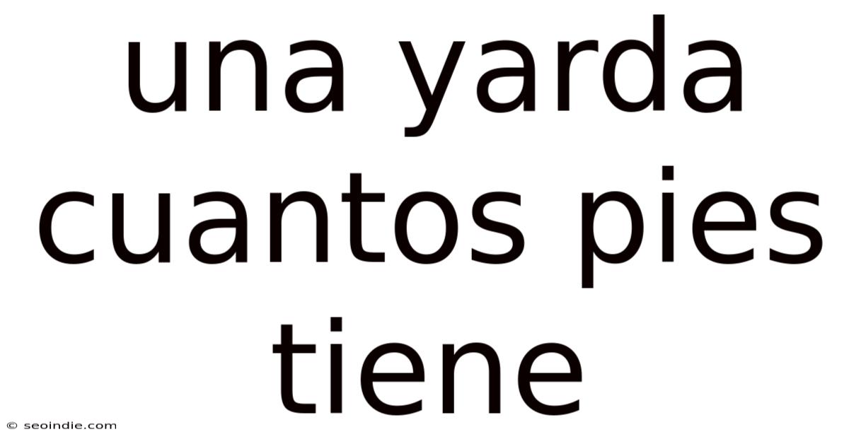 Una Yarda Cuantos Pies Tiene