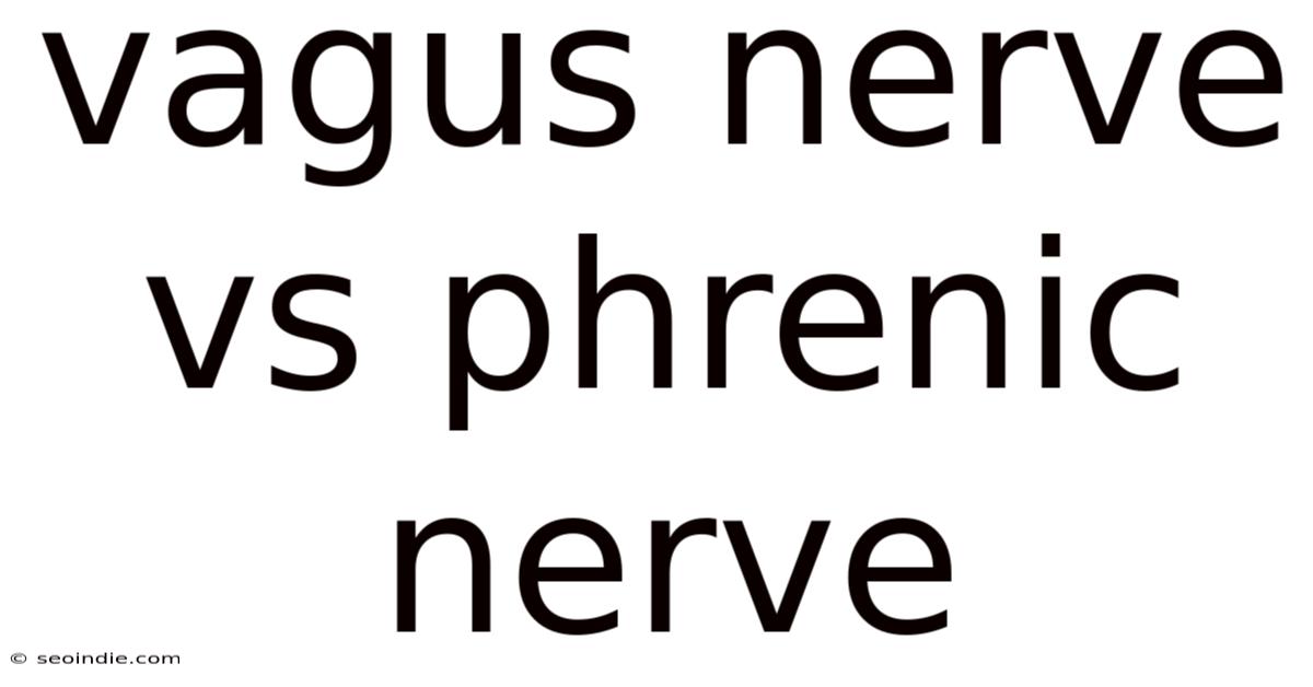 Vagus Nerve Vs Phrenic Nerve