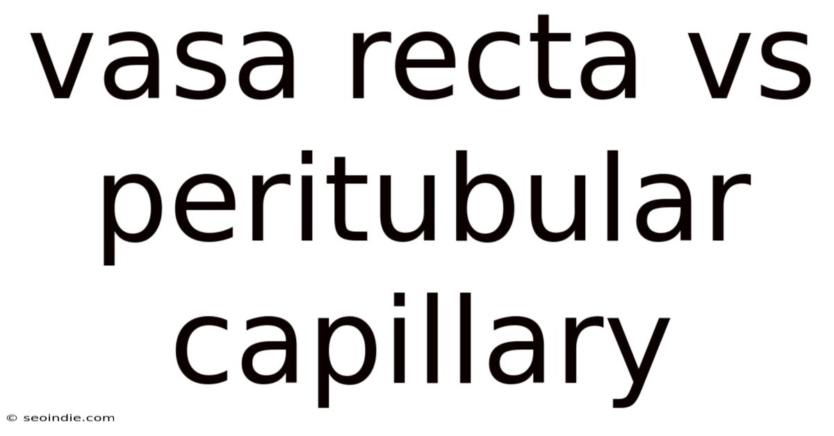 Vasa Recta Vs Peritubular Capillary