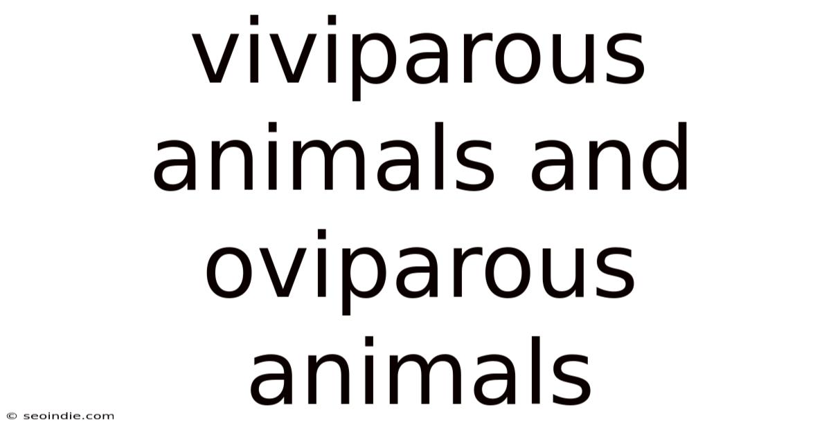 Viviparous Animals And Oviparous Animals