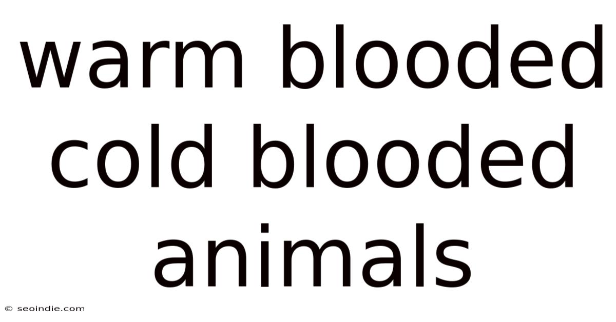 Warm Blooded Cold Blooded Animals
