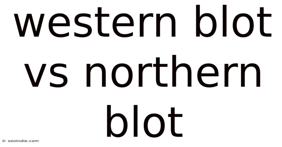 Western Blot Vs Northern Blot