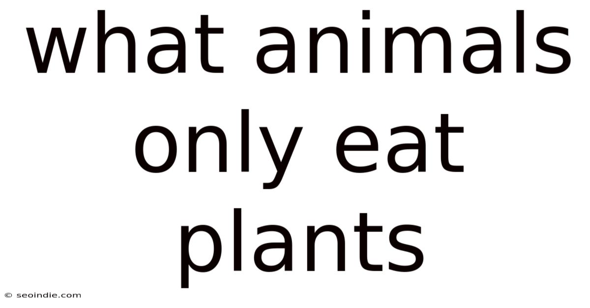 What Animals Only Eat Plants