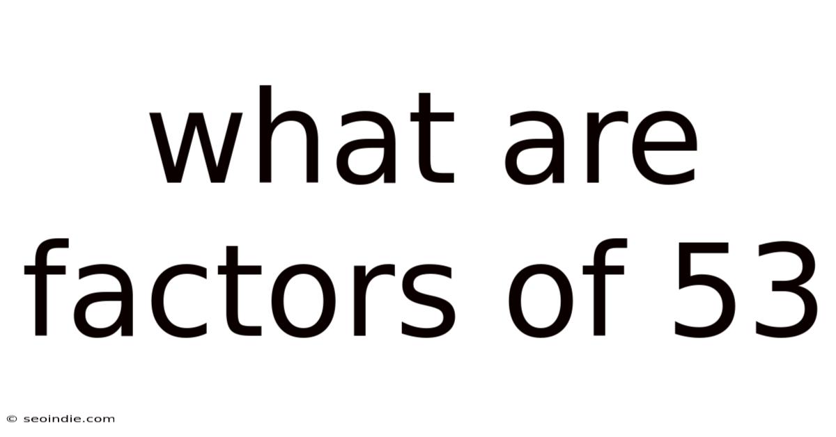 What Are Factors Of 53