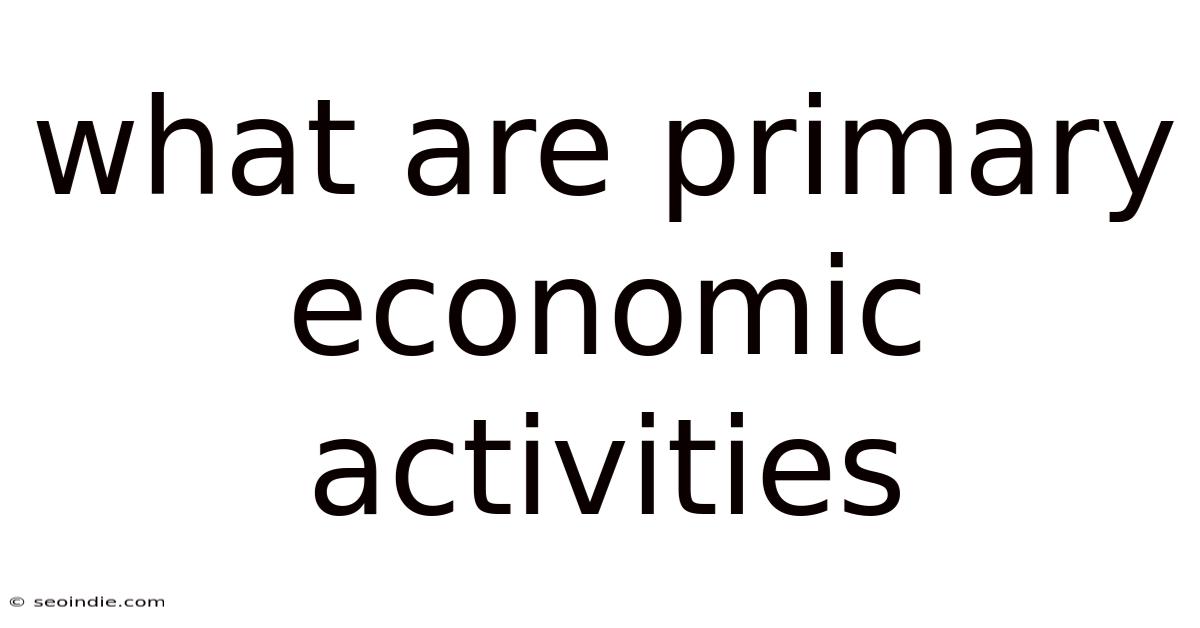 What Are Primary Economic Activities