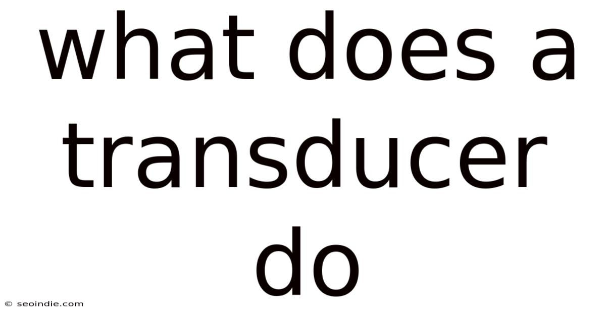 What Does A Transducer Do