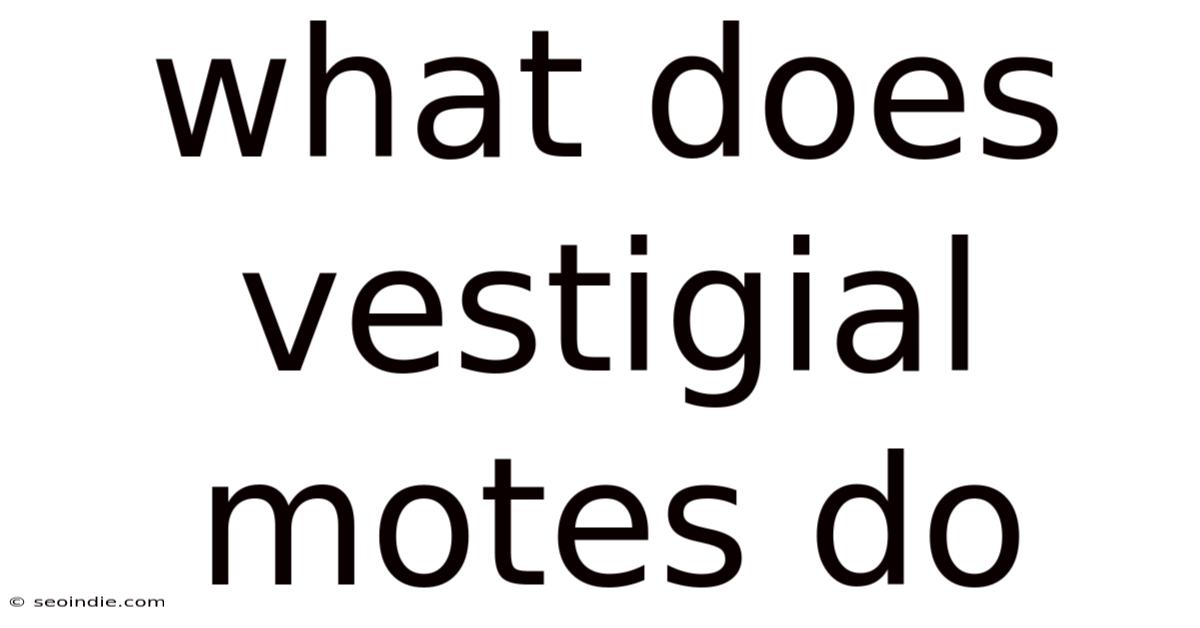 What Does Vestigial Motes Do