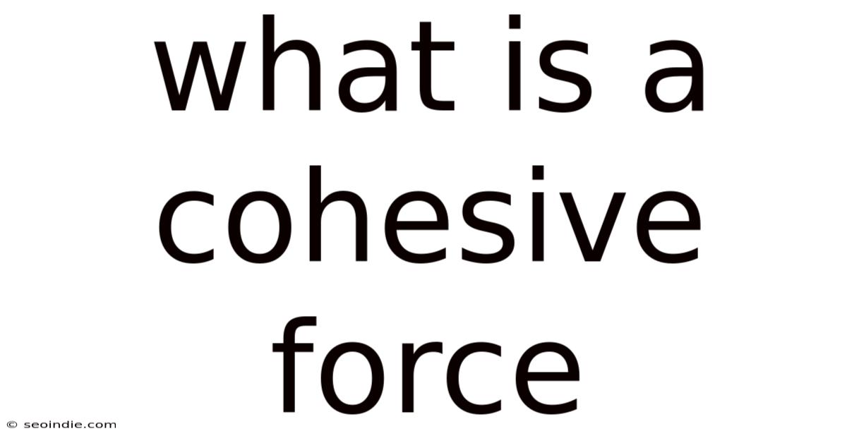 What Is A Cohesive Force