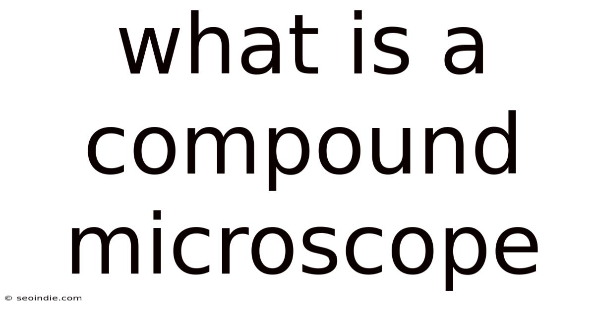 What Is A Compound Microscope