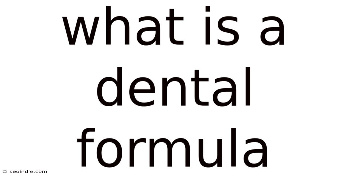 What Is A Dental Formula